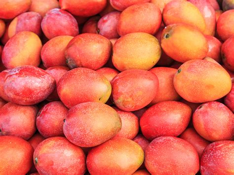 Heres How To Pick The Best Mango Every Time