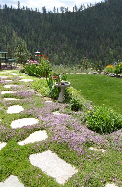 Before you begin your garden redesign project, determine how much you're willing and able to spend. Budget Garden Inspiration Ideas ~ Bees and Roses