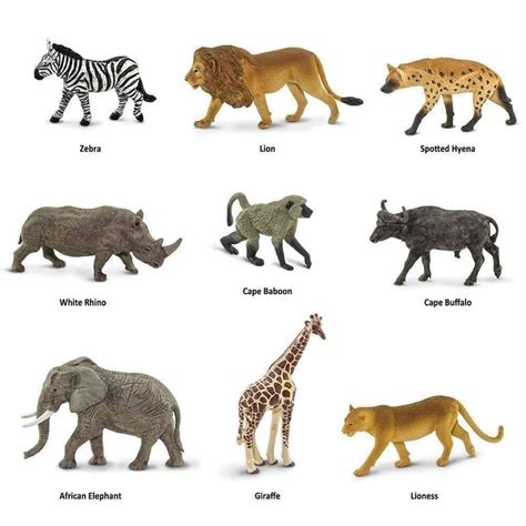South African Animals Montessori Language Learning Figurines South