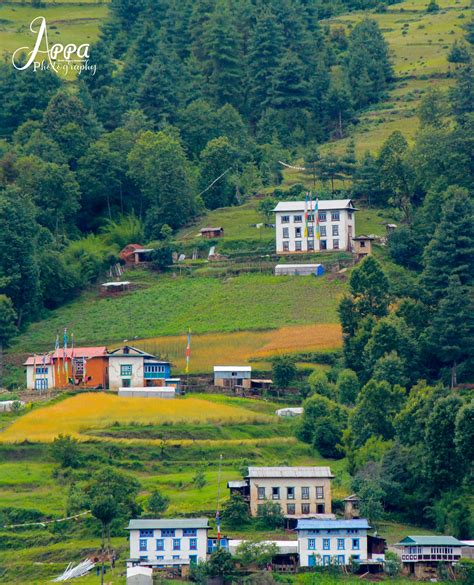 Nature Trail - Pikey Peak is a less beaten, less crowded...