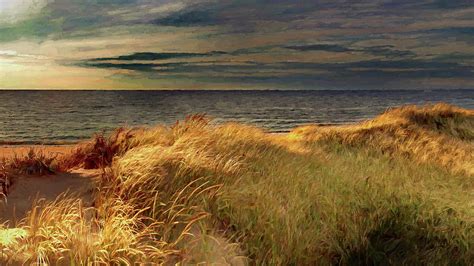 Beach Grass At Sunset Digital Art By Russ Harris Fine Art America