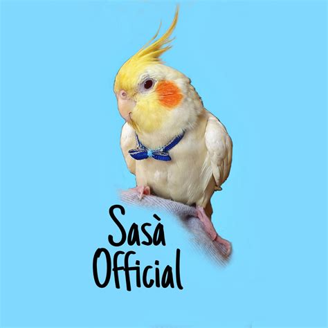 Sasà Official