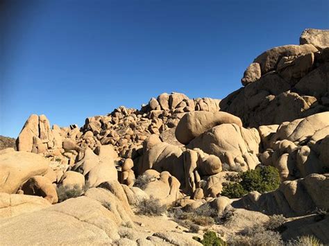 Split Rock Joshua Tree National Park 2020 All You Need To Know