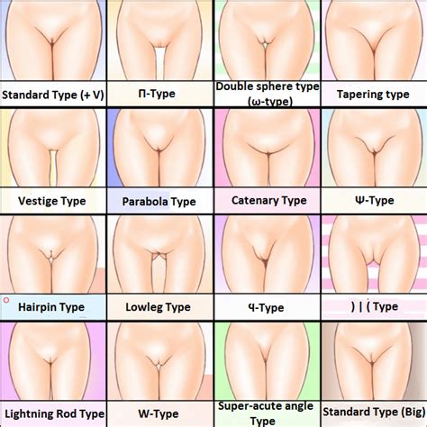 Rule 34 Chart Crotch Hard Translated Mound Of Venus Pussy Pussy Chart