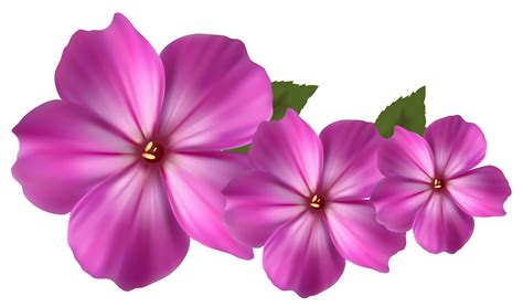 Free Violet Flower Png Download Free Violet Flower Png Png Images