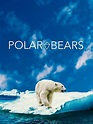 Polar Bears (película 2020) - Tráiler. resumen, reparto y dónde ver ...