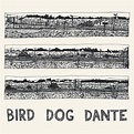 PARISH JOHN - BIRD DOG DANTE - LP
