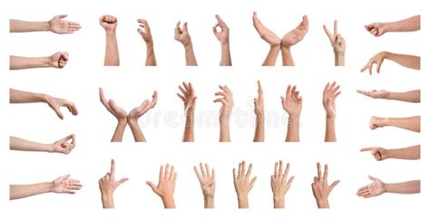 3716 Different Gestures Stock Photos Free And Royalty Free Stock