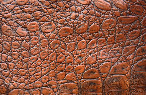 Leather Skin Texture · Free Photo On Pixabay