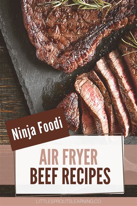 Ninja Foodi Air Fryer Beef Recipes Little Sprouts Learning