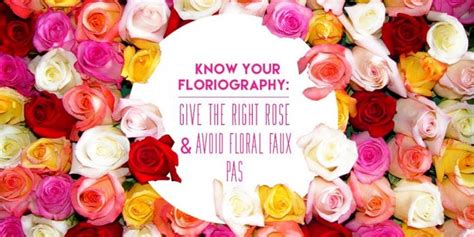 Know Your Rose Meanings Give The Right Rose Fresh By Ftd