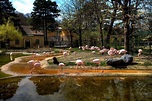 Vienna Zoo (Tiergarten Schönbrunn) in April 2013 [HDR]