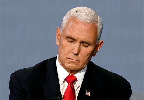 31 Mike Pence Background