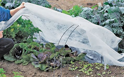 How to choose healthy garden plants : Garden Fabric, Row Covers, Shade Netting, Frost Covers
