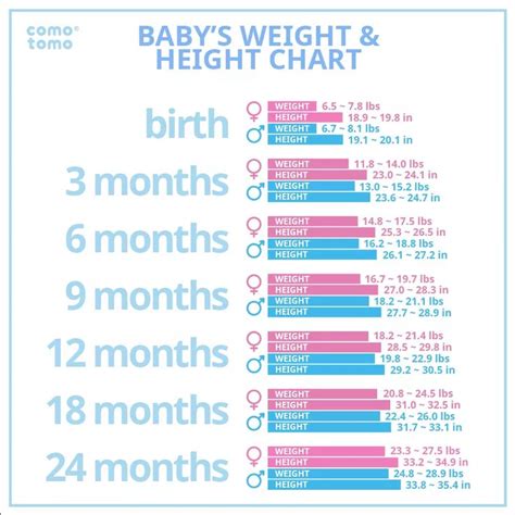 Baby Weight And Height Chart Comotomo Comotomo Comotomo Products