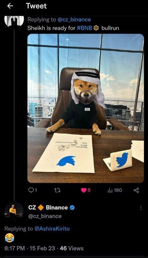 CryptoTurkeyFacts on Twitter Dubai merkezli bir gem projesi Köpekli