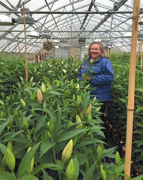 Notable Edible Sabatia Flower Farm Edible Cape Cod