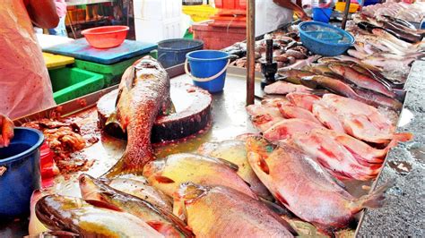 Since kerala is more close to the sea, there is an but most people are confused about the english names of fish as each fish have there own name in malayalam. Fresh Seafood Market in Malaysia Kuala Lumpur street (KL ...