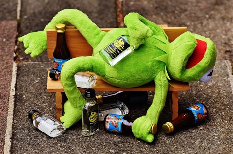 Kermit Kikker Drankje Gratis Foto Op Pixabay