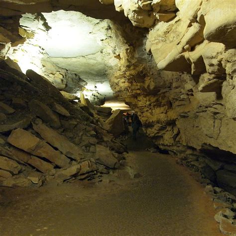 Grand Avenue Tour Parc National De Mammoth Cave 2022 Ce Quil Faut