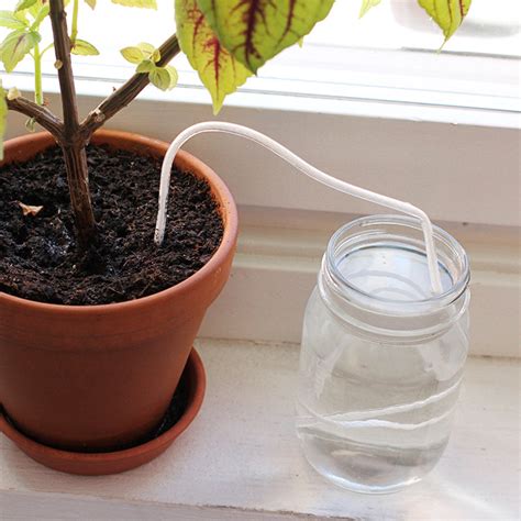 Watering Wick Pack Of Five Waters Your Plants When You Are On