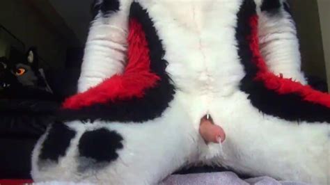 Husky Fursuit Cumshot Xxx Mobile Porno Videos And Movies Iporntv