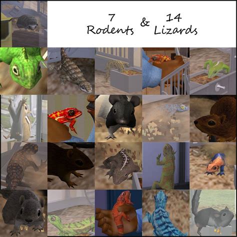 Updated 01132012 Animated Lizards And Rodents Sims Pets Sims 4 Pets