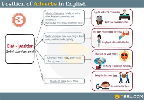 Some other how often adverbs express the exact number of times an action happens and are usually placed at the end of the sentence: Position of Adverbs in English (2) - 7 E S L