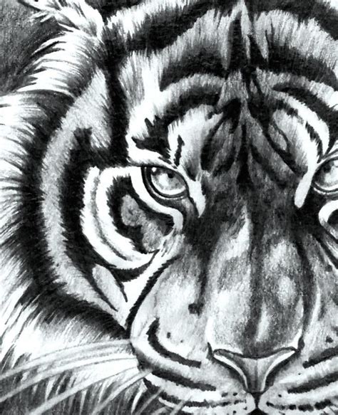 Realistic Tiger With Compass Tattoo Design References Tattoodesignstock
