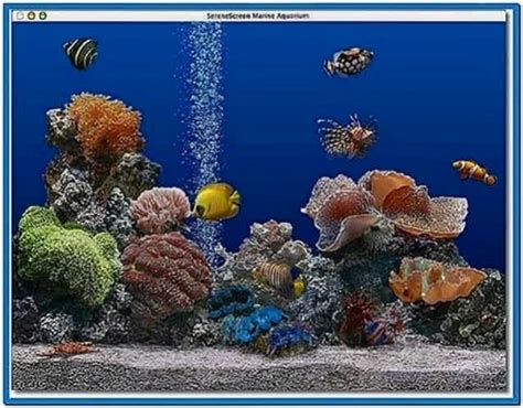 Marine Aquarium Screensaver Mac Os X Download Free