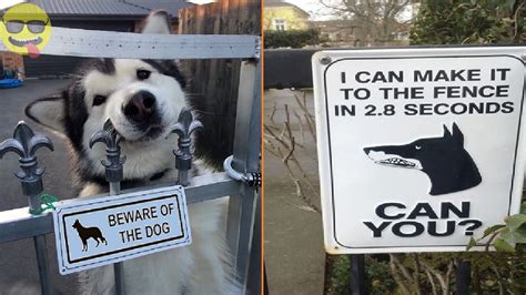 Beware Of Dog Signs That Will Make You Laugh Youtube