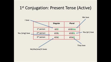 Latin For Beginners Lesson 3 First Conjugation Verbs In The Present