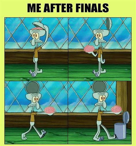 /r/mcat is a place for mcat practice, questions, discussion, advice, social networking, news, study tips and more. After Finals | Funny And | School memes, Funny pictures, Finals funny