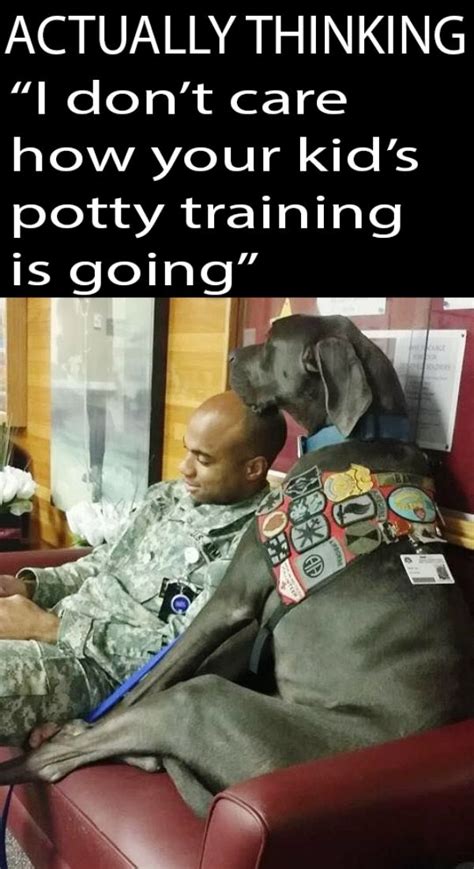 War Service Dogs Meme My Day Are Funny Serious Cute On