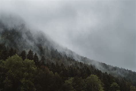 Foggy Mountain Terrain Free Image Peakpx