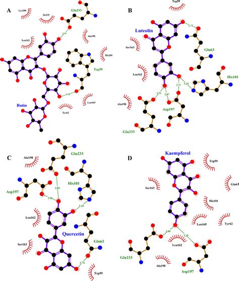 2d Interaction Between Inhibitors And α­amylase At Equilibrium State A