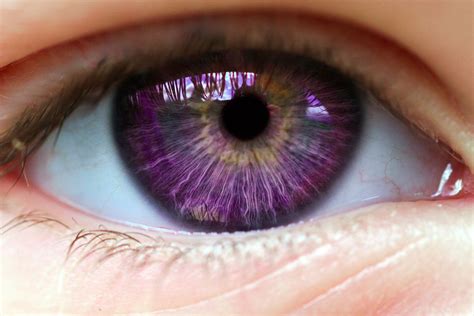 Ojos Color Violeta Naturales