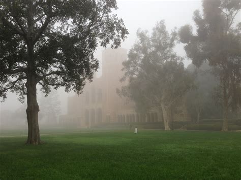 A Foggy Day In La Bruces Blog