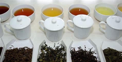 Tea Plantations Of The Southern Highlands Journeys By Design