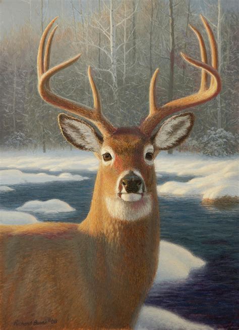 White Tail Deer Portrait Painting By Richard Burns Pixels