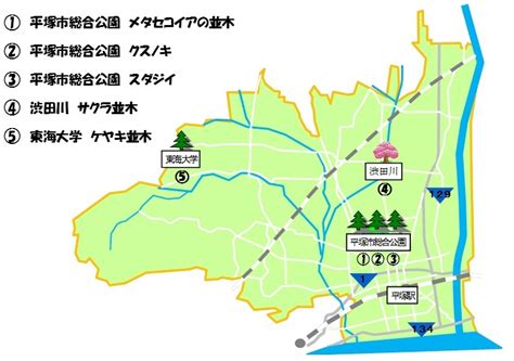 Search for text in self post contents. 景観重要樹木 | 平塚市