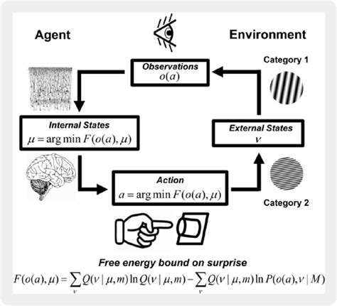 Fig N 7 Approximate Bayesian Inference And Free Energy Minimization In