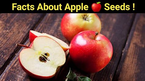 Facts About Apple Seeds Cyanide From Apple Seeds Fact By Jevin