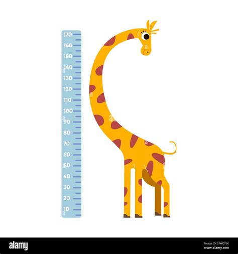 Height Ruler With Comic Long Neck Giraffe Vector Illustration Wall