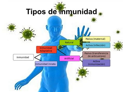 Biologia La Inmunidad