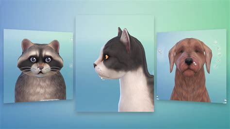 The Sims 4 All Dlc Cats And Dogs Natalie Rewatecno