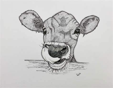 Cow Stippling Art Print Etsy