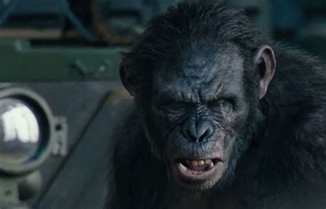 dawn of the planet of the apes makes a great argument for sex pacific standard