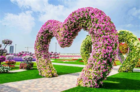 Maybe you would like to learn more about one of these? Dubai Miracle Garden | The Longest flower wall in the ...