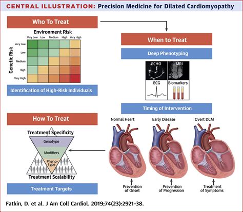 Precision Medicine In The Management Of Dilated Cardiomyopathy Jacc